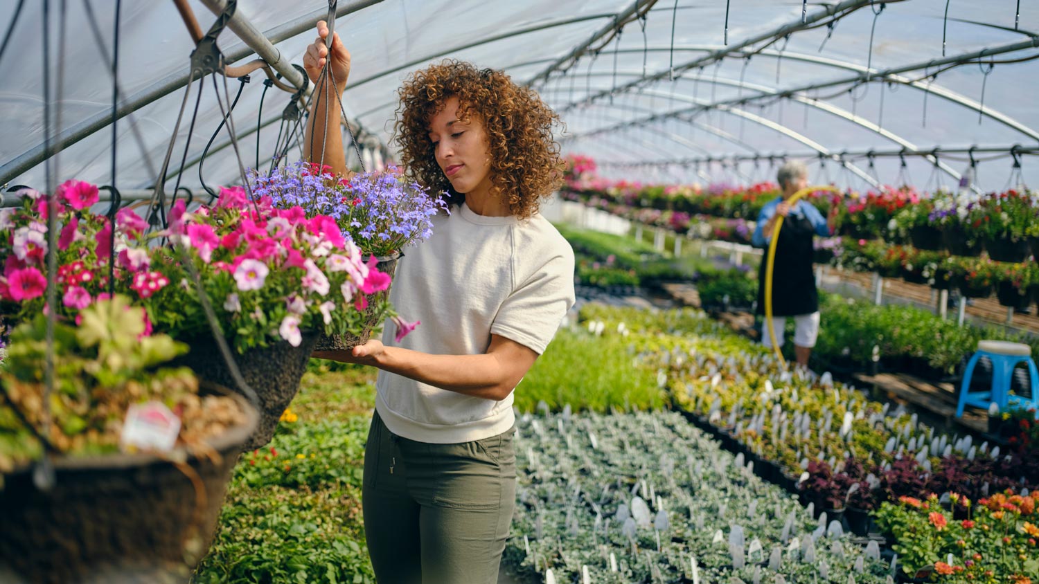 A woman choosing a potted plant in a greenhouse garden center