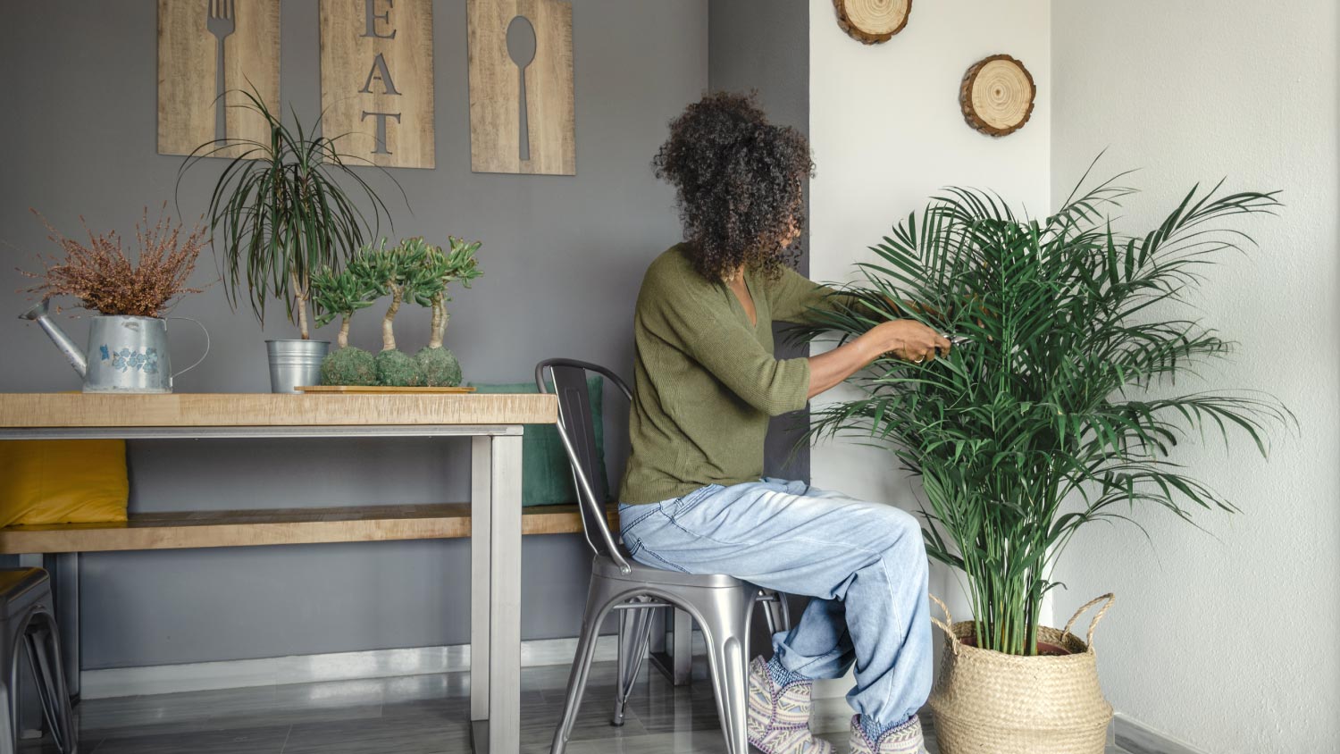 A woman cutting brown leaves of a bamboo palm