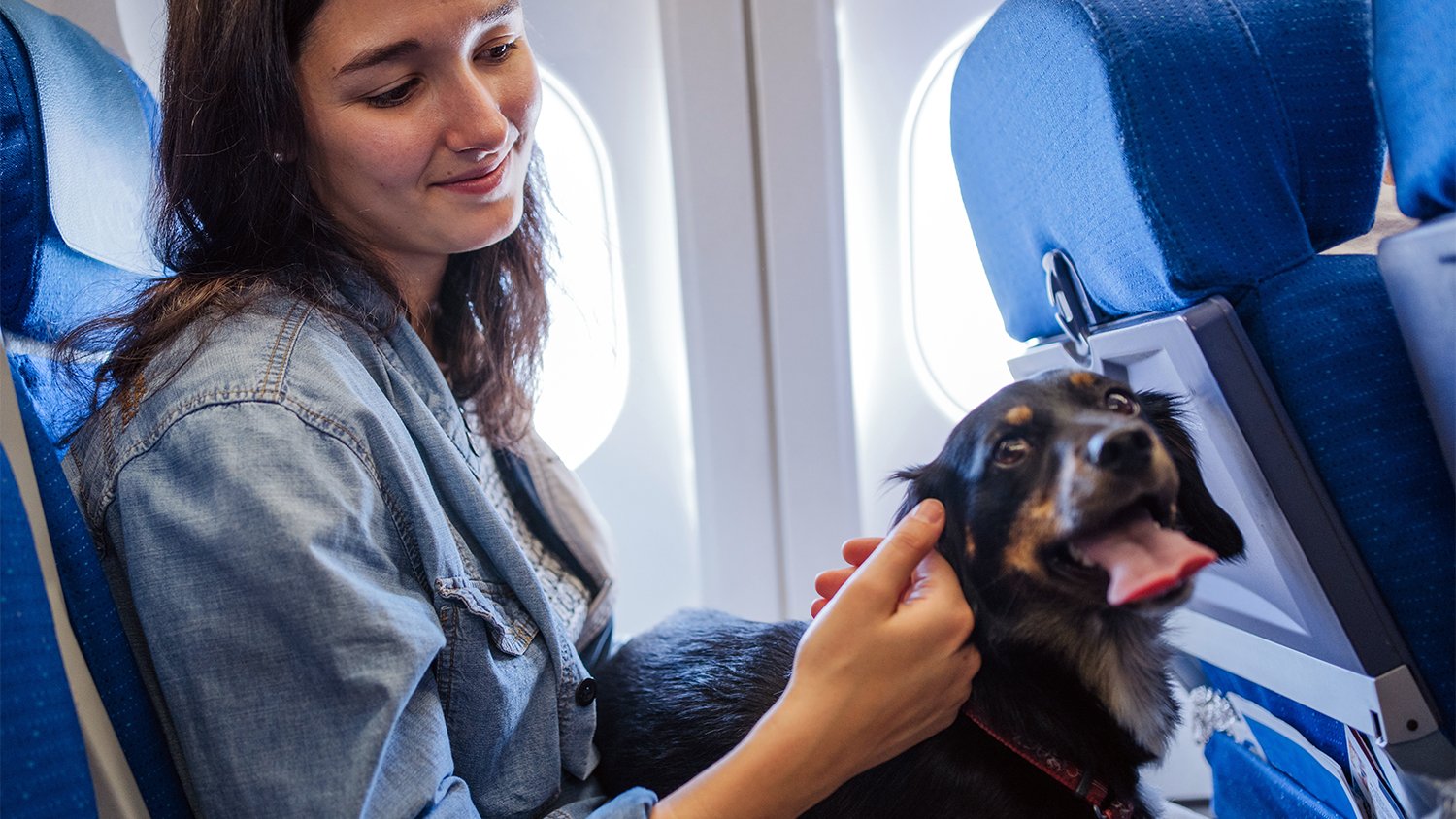 woman petting her dog while on a plane