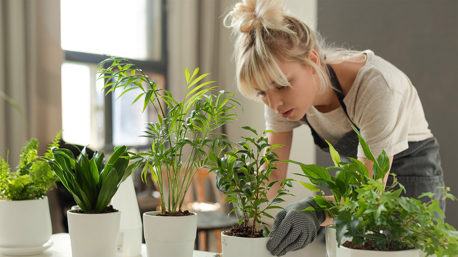 woman growing plants at home