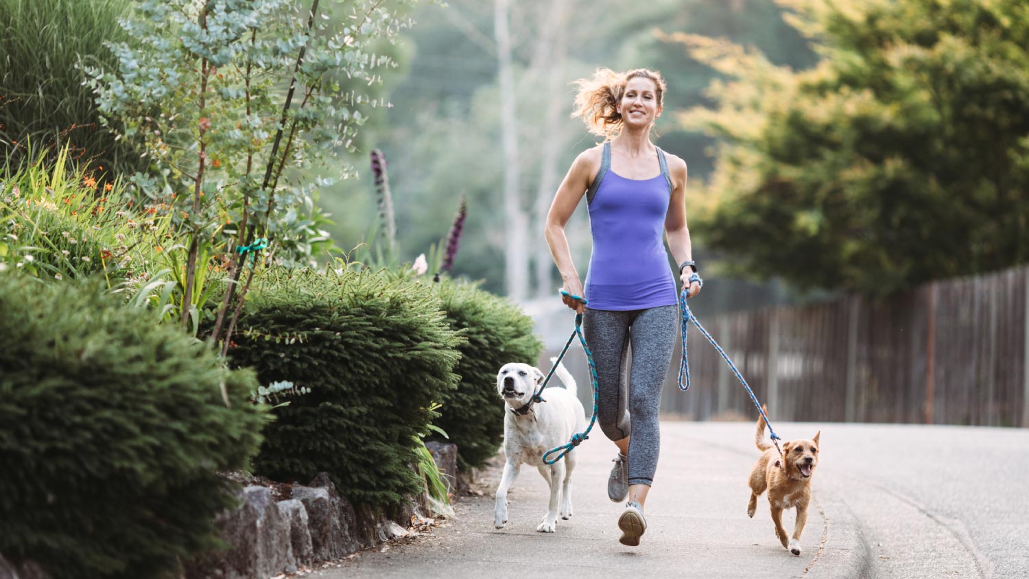 woman jogging down the street with two dogs