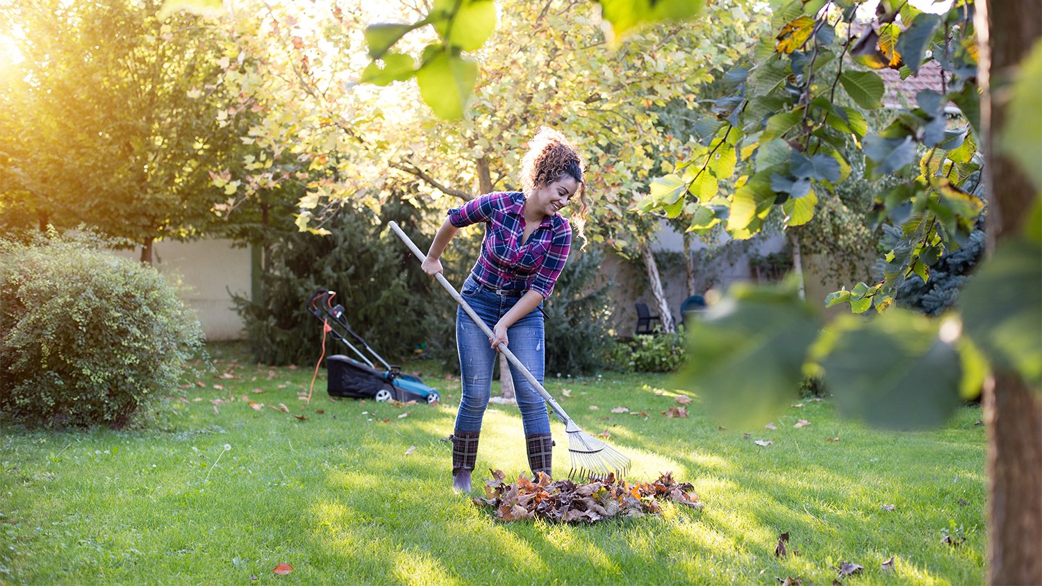 woman raking leaves in yard      