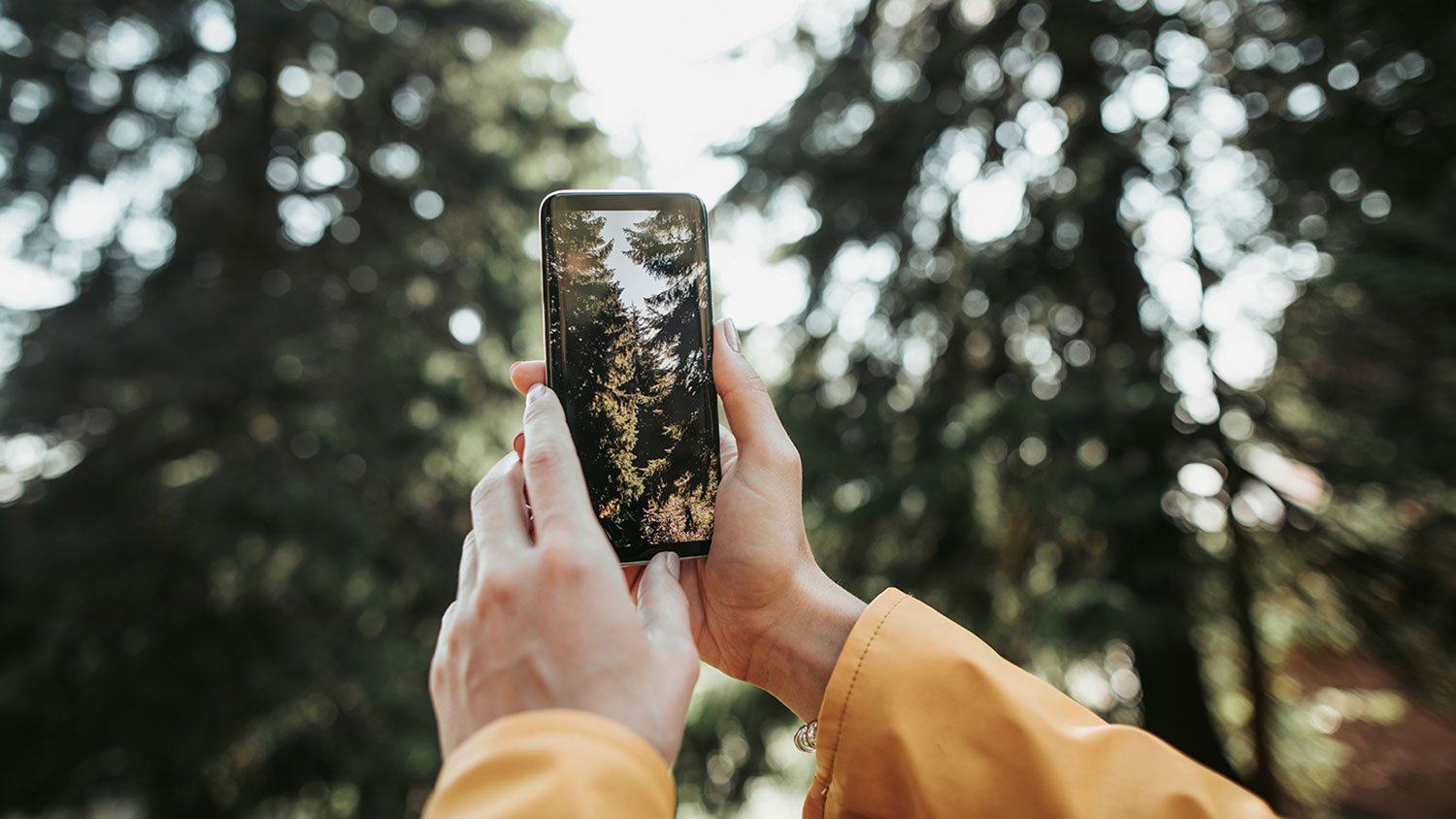 Woman taking picture of a tree