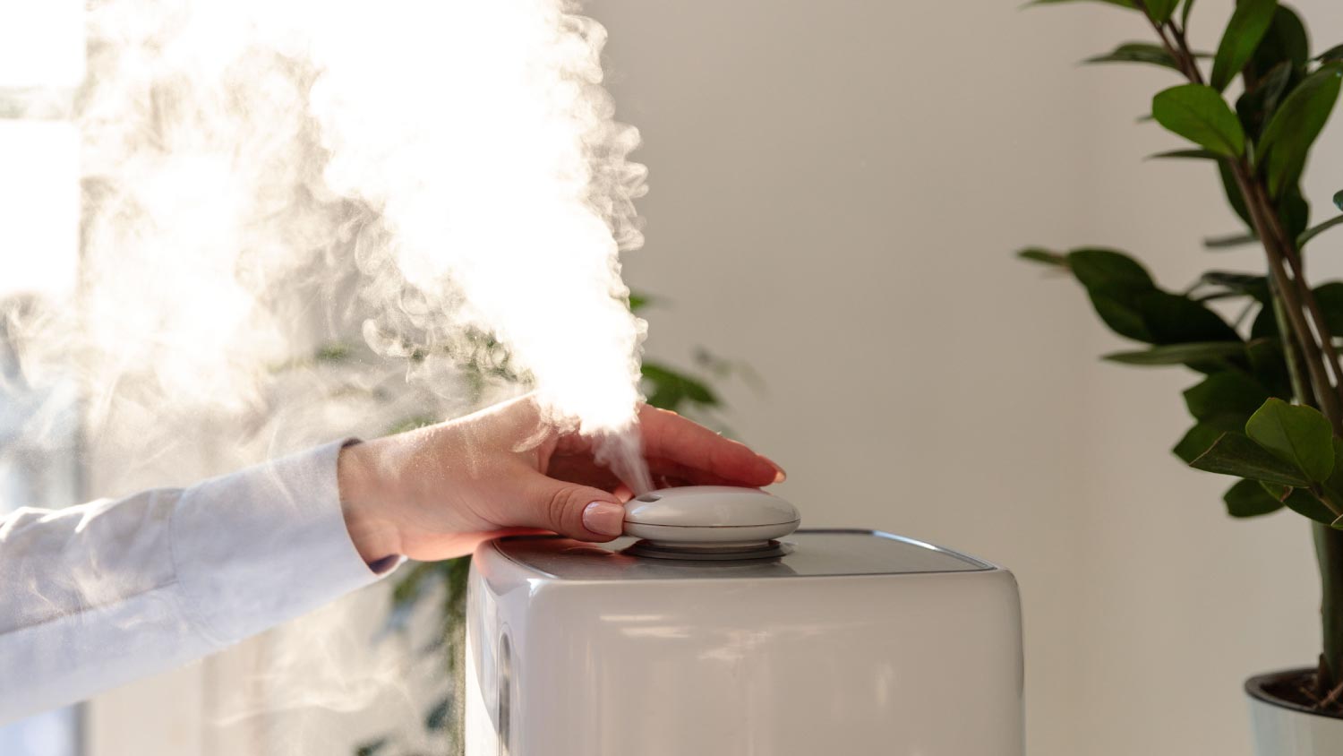 A close-up of a woman using a humidifier at home