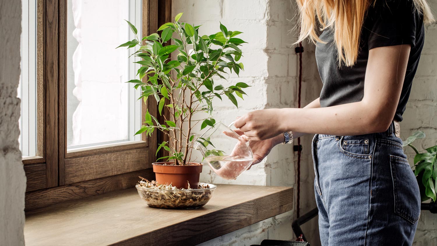 A woman watering a pot close to the window