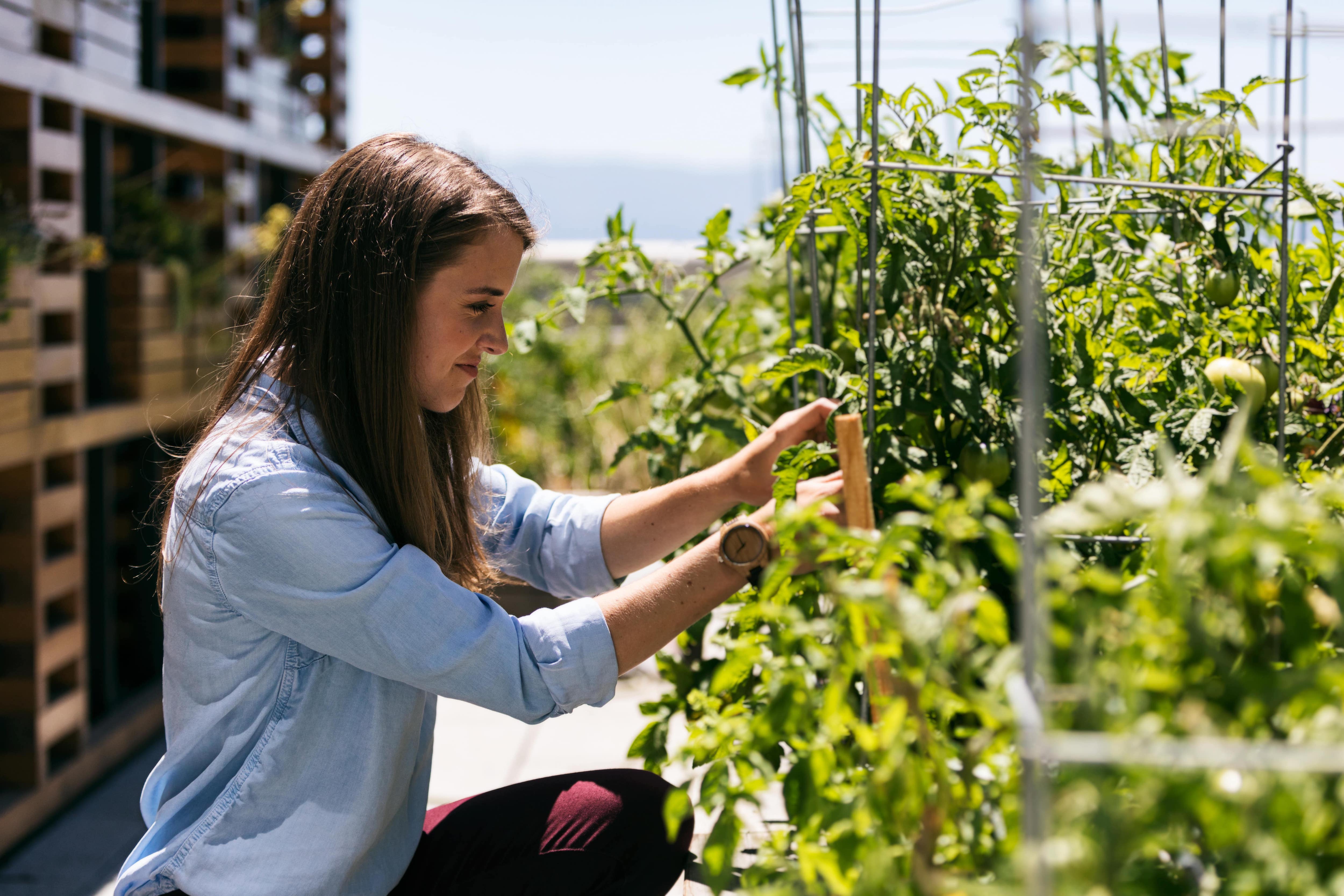 A woman tending to a rooftop garden