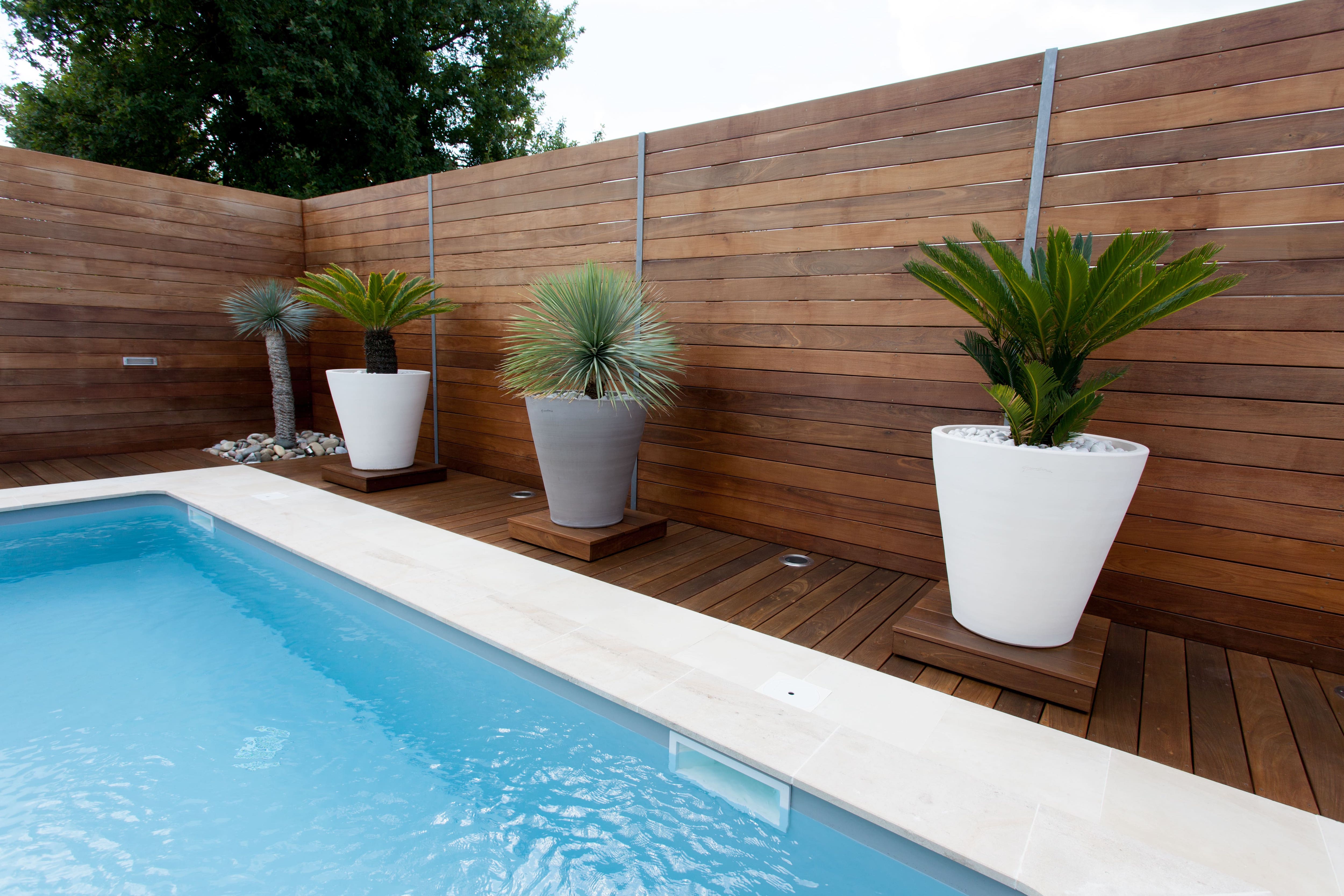 An in-ground pool surrounded by a wood with three large potted plants