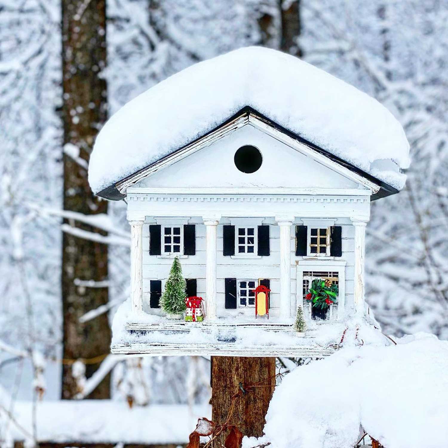 Wooden bird house covered with snow