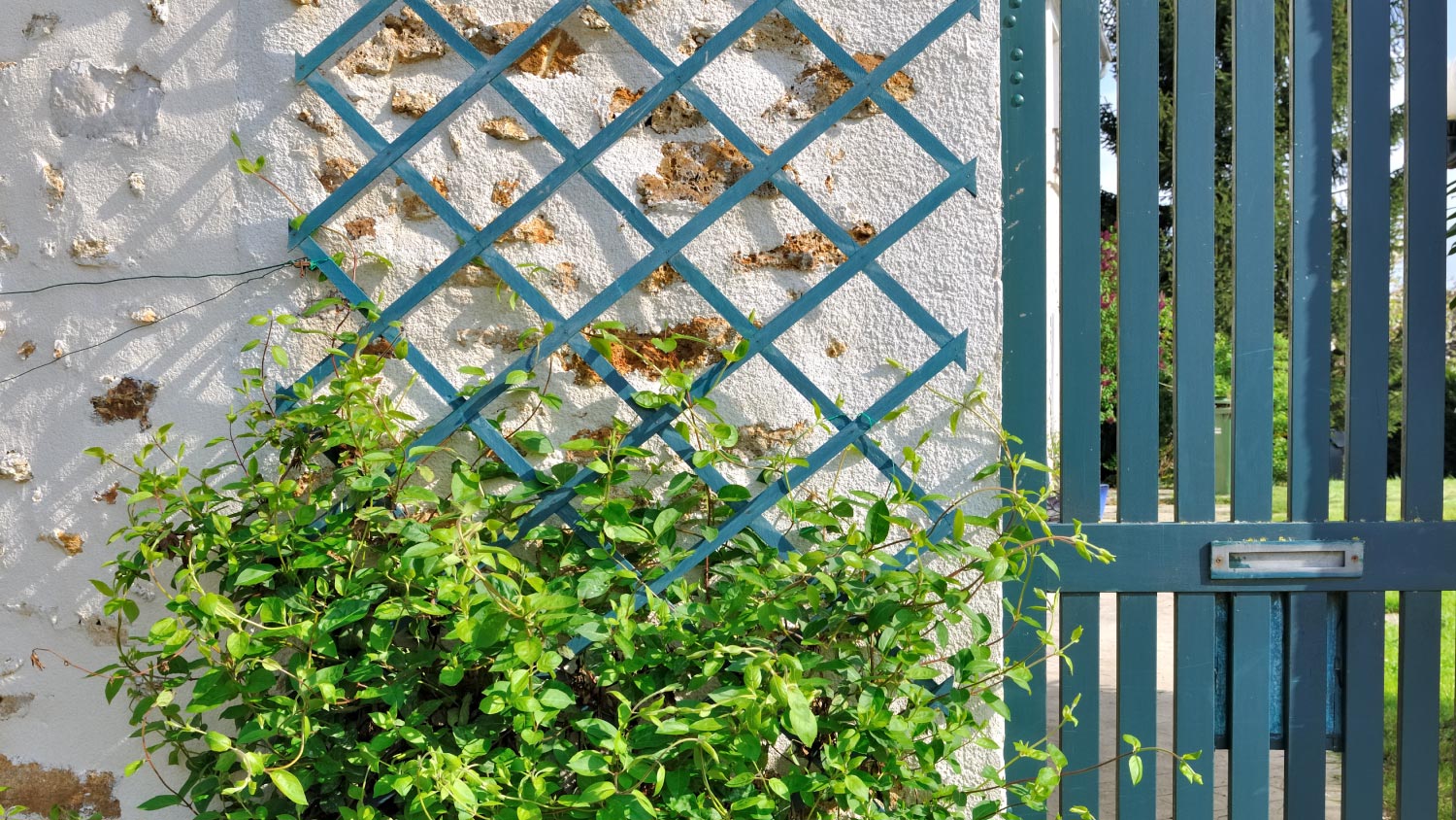 Wooden trellis facade wall